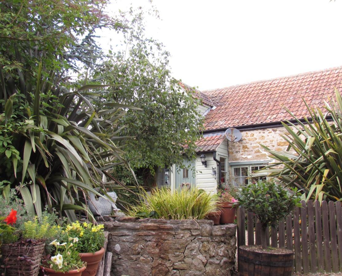 Chiddy Nook Cottage Chideock Екстериор снимка